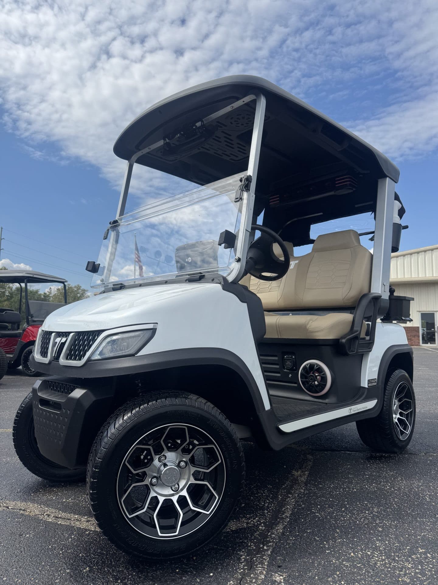 Evolution Tara golf cart | Ergon Golf Carts